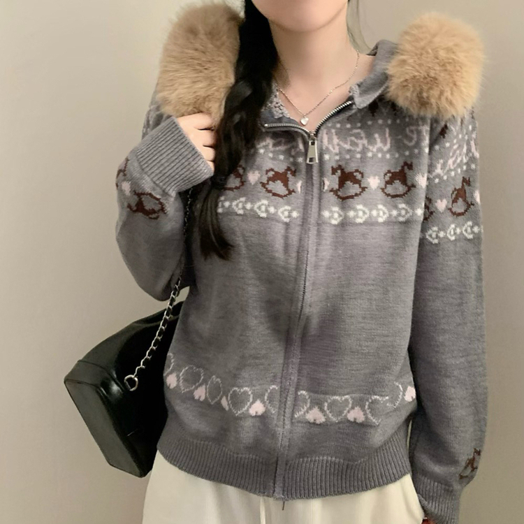 メリーゴーランドフードジップアップカーディガン GREY