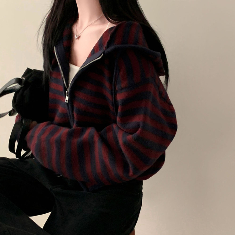 ストライプニットフードジップアップ PLUM