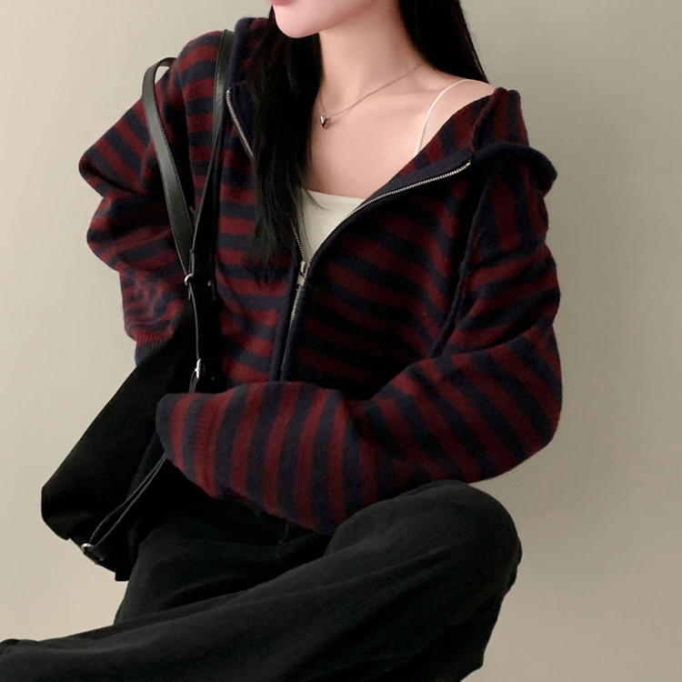 ストライプニットフードジップアップ PLUM