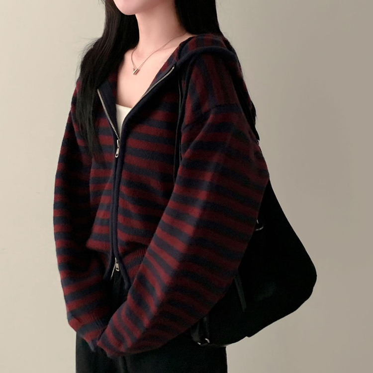 ストライプニットフードジップアップ PLUM