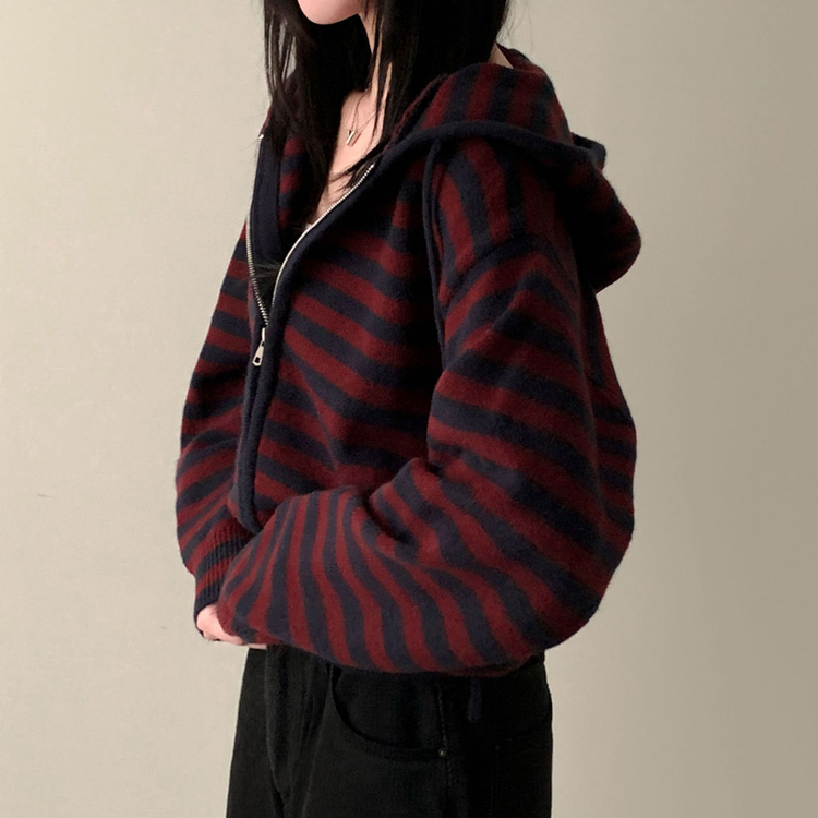 ストライプニットフードジップアップ PLUM