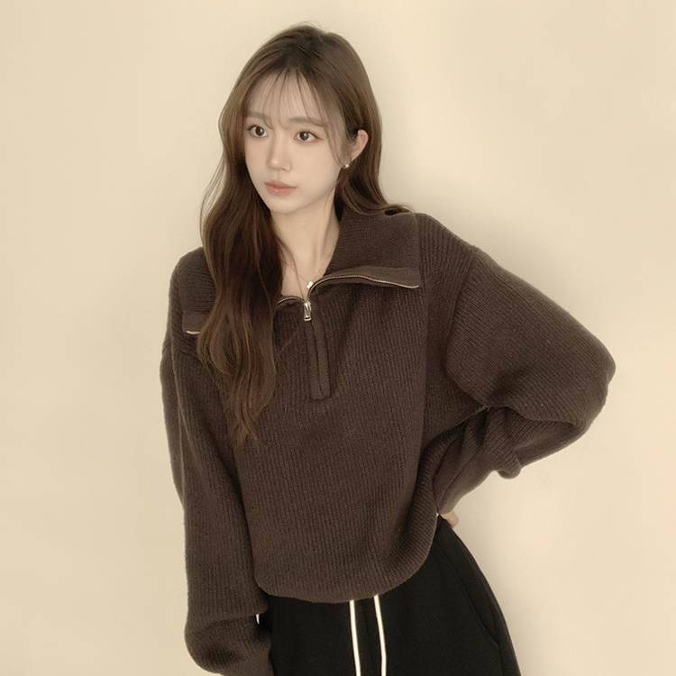 ビッグカラーアノラックワッぺンニット(6color) BROWN