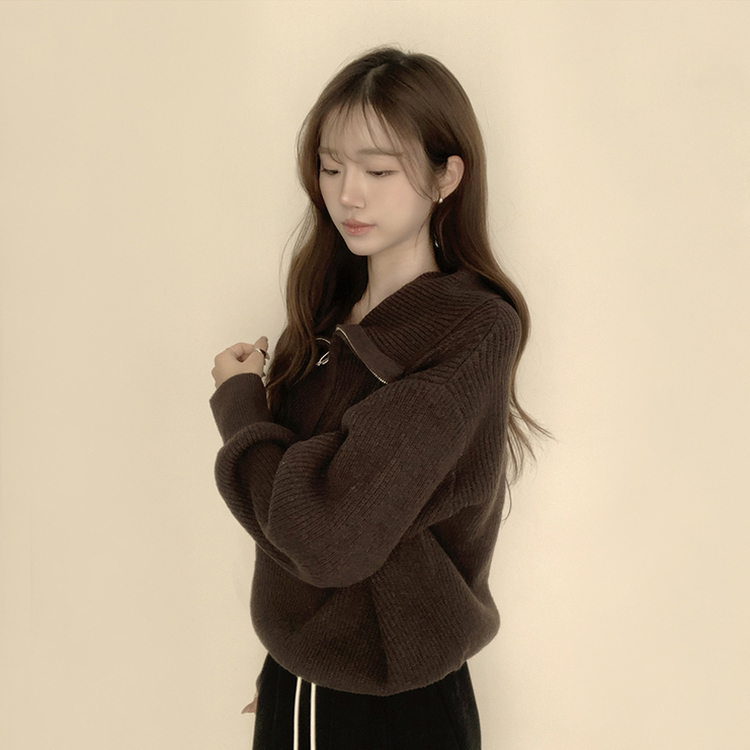 ビッグカラーアノラックワッぺンニット(6color) BROWN