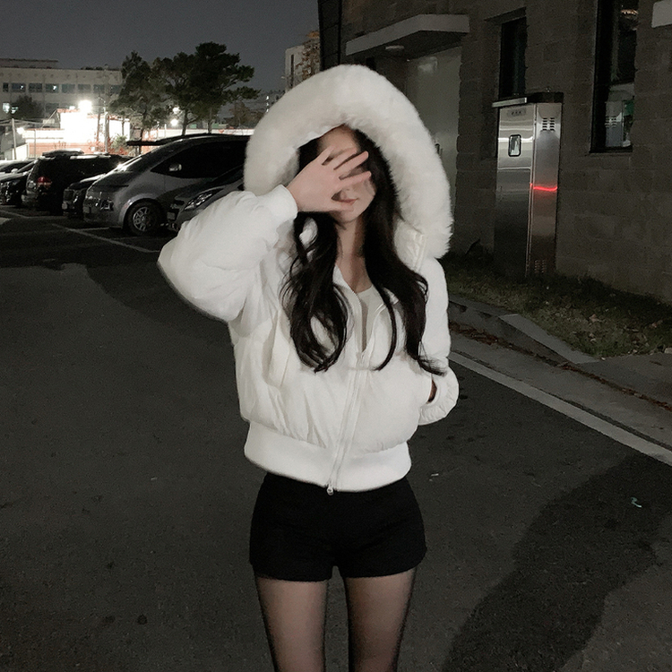 【起毛】ハイウエストスリムショートパンツ BLACK