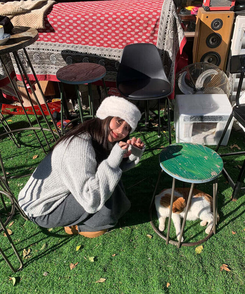 ニットジップアップ GRAY