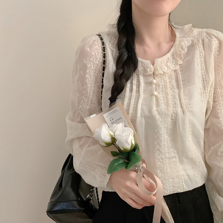 비비 레이스 봄 카라넥 시스루 긴팔 블라우스 봄 봄옷 레이어드 벚꽃 연베이지