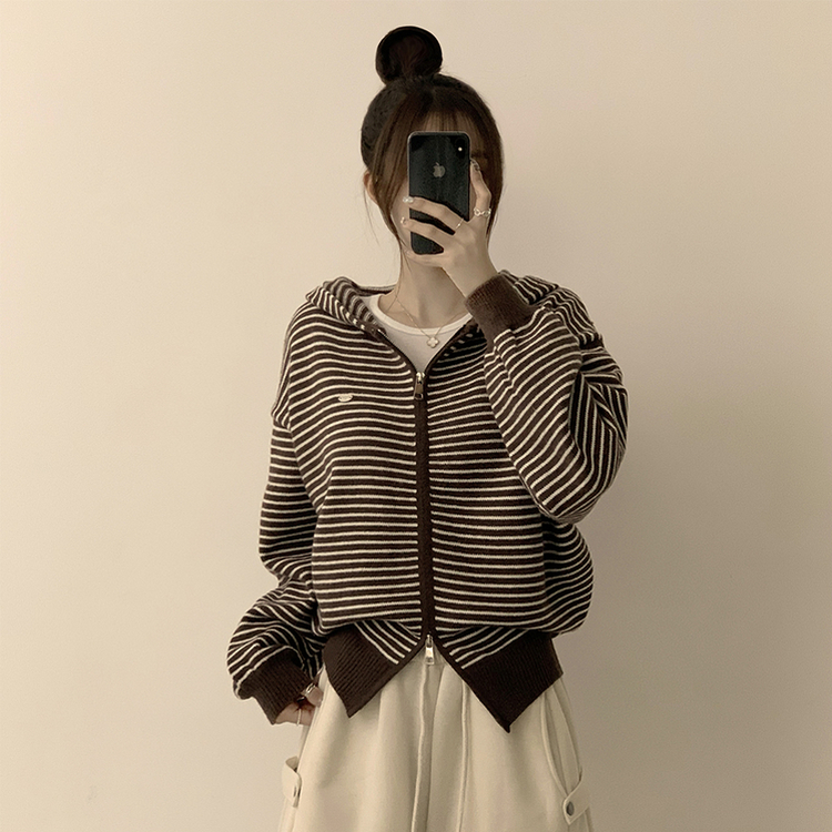 겨울까지 따뜻한 에리 팬던트 오버핏 겨울 긴팔 니트 후드 집업 루즈핏 가디건 데일리 상의 5color 브라운