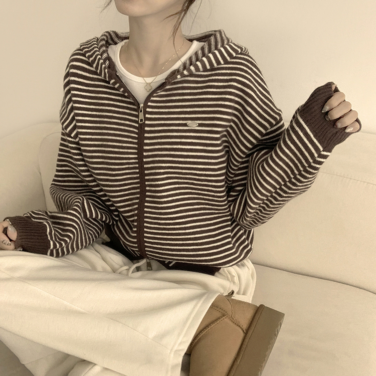 겨울까지 따뜻한 에리 팬던트 오버핏 겨울 긴팔 니트 후드 집업 루즈핏 가디건 데일리 상의 5color 브라운