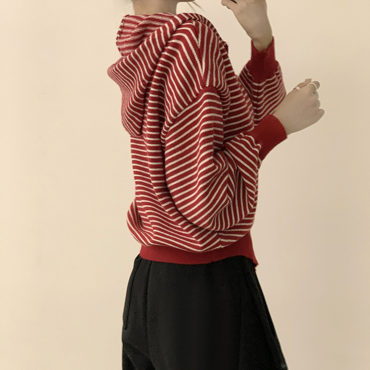 겨울까지 따뜻한 에리 팬던트 오버핏 겨울 긴팔 니트 후드 집업 루즈핏 가디건 데일리 상의 5color 레드