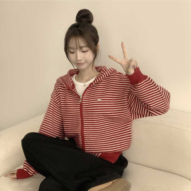 겨울까지 따뜻한 에리 팬던트 오버핏 겨울 긴팔 니트 후드 집업 루즈핏 가디건 데일리 상의 5color 레드