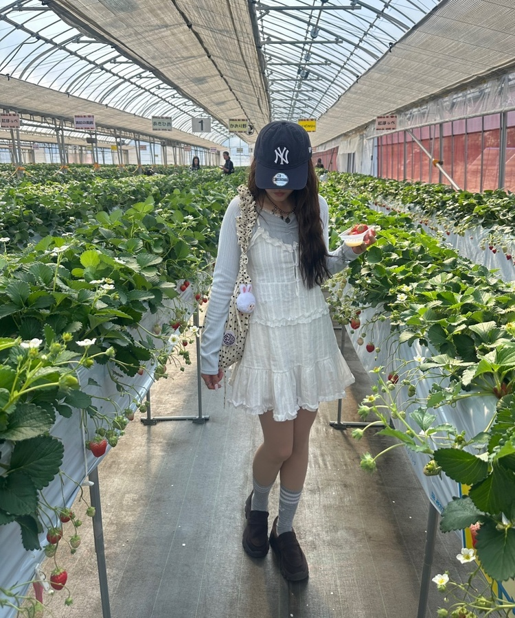 레이어드 프릴 캉캉 원피스 아이보리