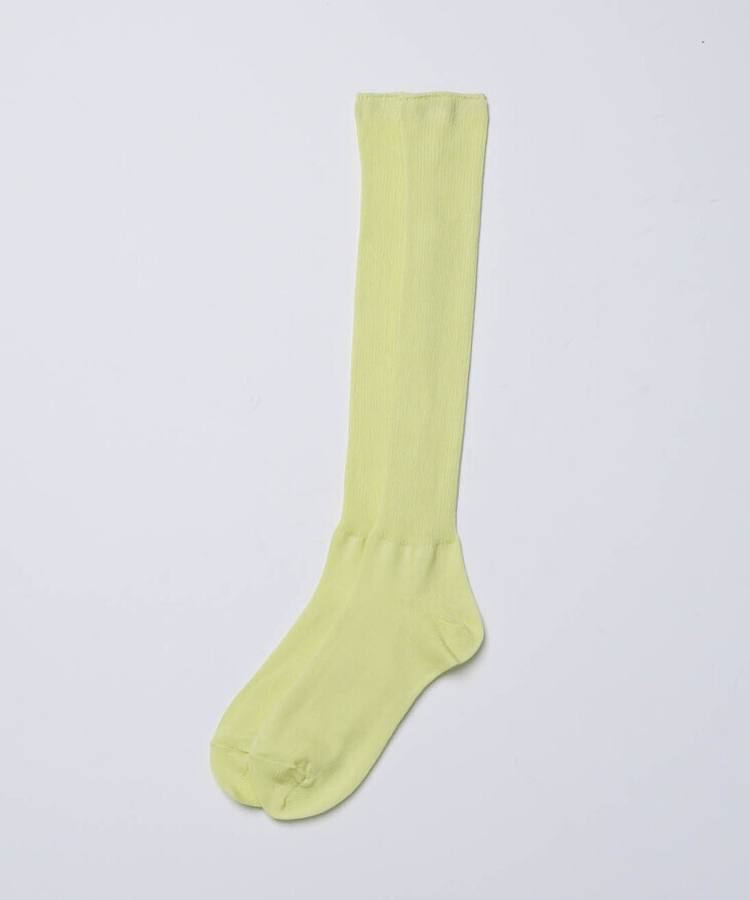 시스루 하이삭스