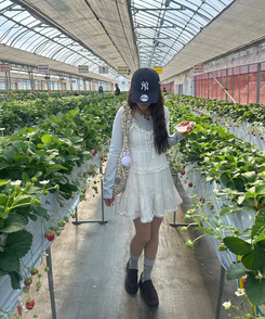 レースナローVネックトップス SKY BLUE