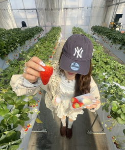 レースナローVネックトップス SKY BLUE