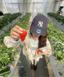 レースナローVネックトップス SKY BLUE