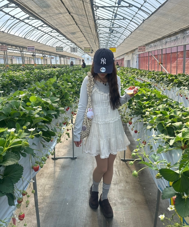 レースナローVネックトップス SKY BLUE