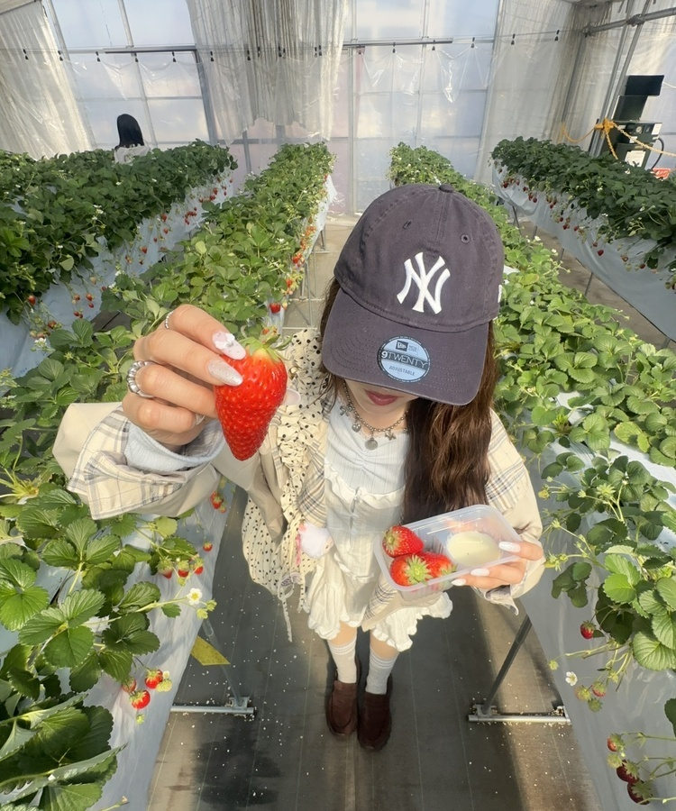 レースナローVネックトップス SKY BLUE