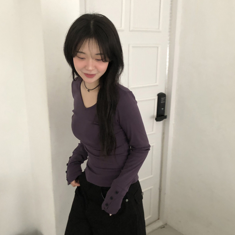 Vネックスリムフィット長袖Tシャツ(7color) PURPLE