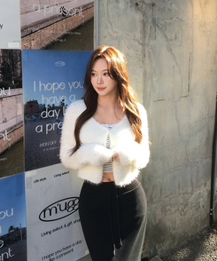 ファークロップニットカーディガン(6color) IVORY