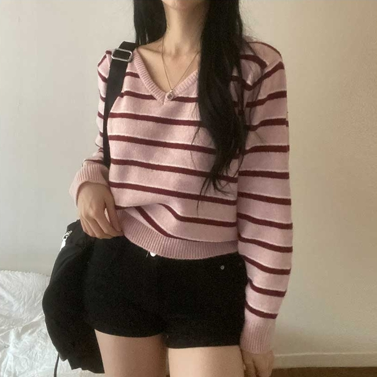 ボーダーバイカラーVネックニット PINK