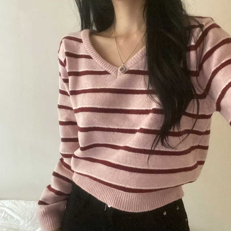 ボーダーバイカラーVネックニット PINK