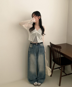 Vネックシアー長袖カーディガン IVORY