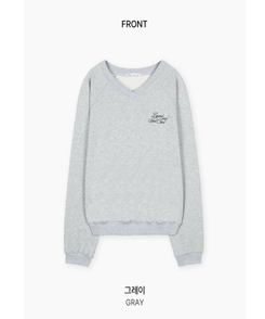 Vネックトレーナー