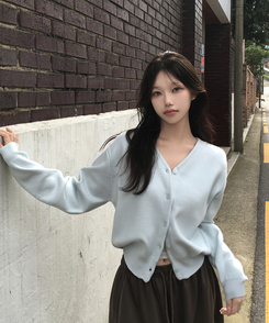 ベーシックVネック長袖ニットカーディガン(13color) SKY BLUE