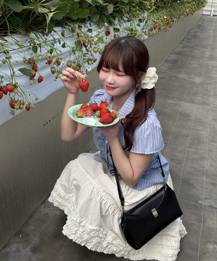 ストライプ半袖シャツブラウス STRIPE