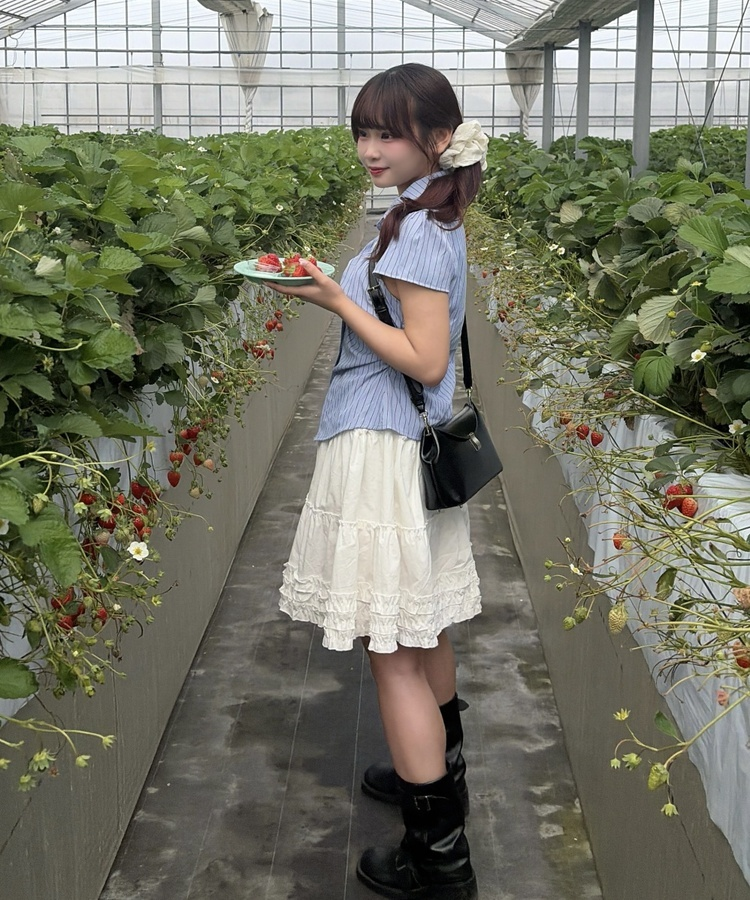 ストライプ半袖シャツブラウス STRIPE