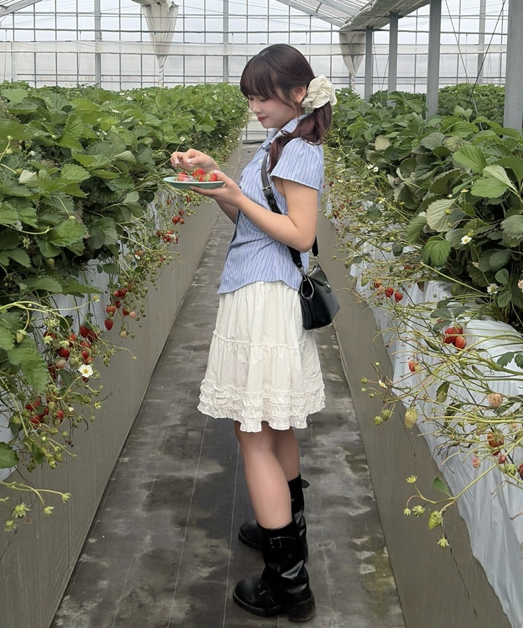 ストライプ半袖シャツブラウス STRIPE