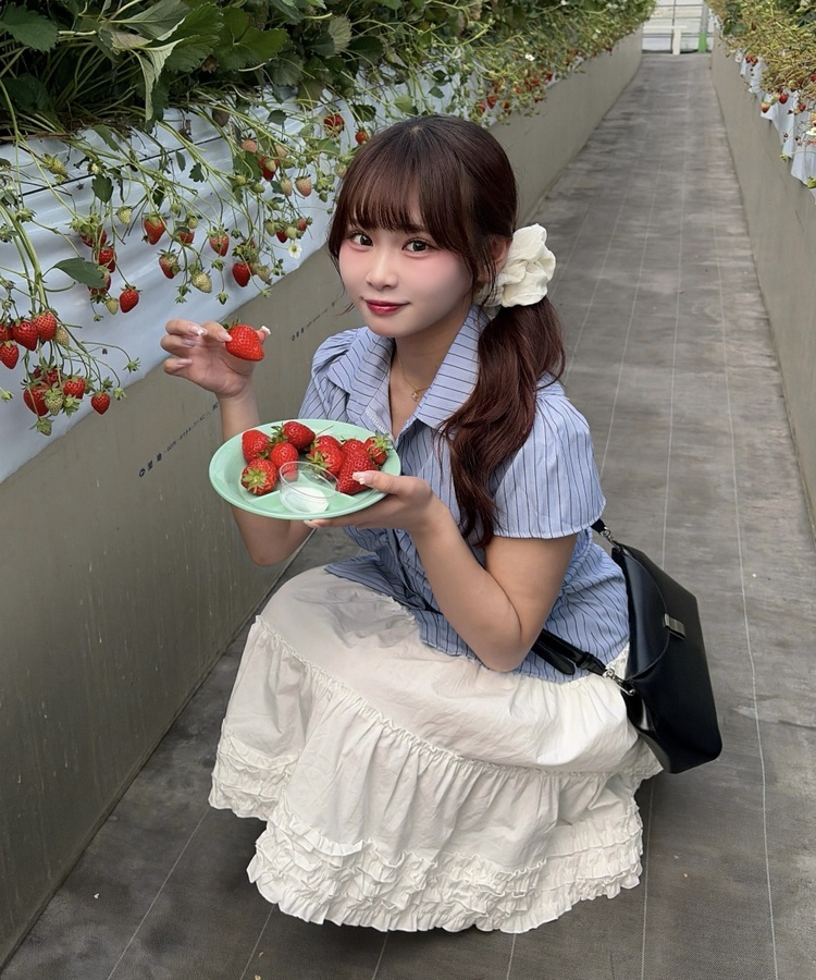 ストライプ半袖シャツブラウス STRIPE