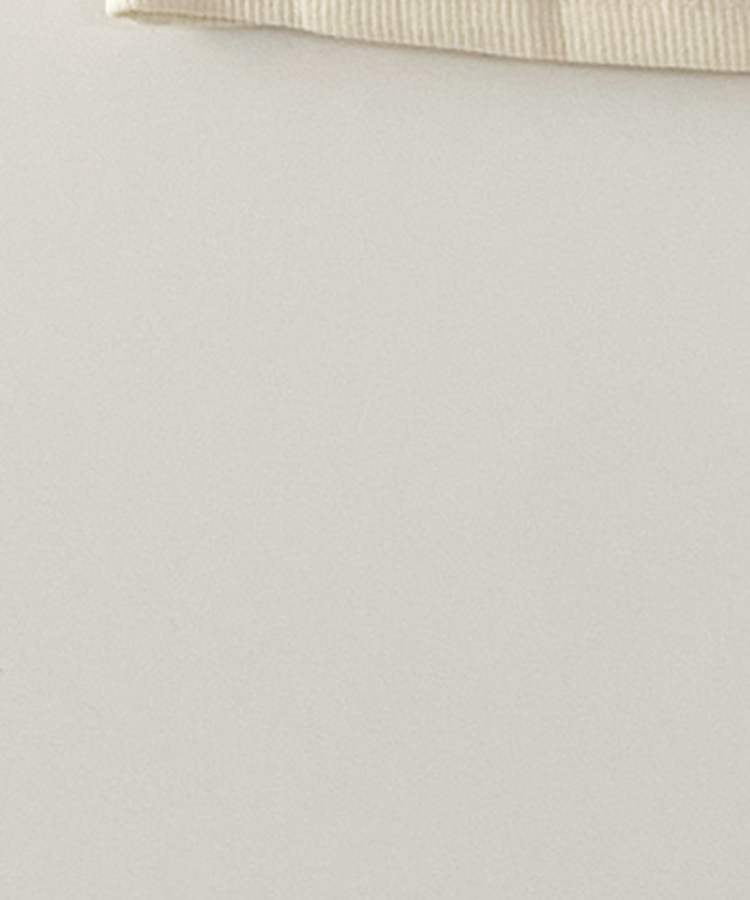 レースレイヤードスリーブレス