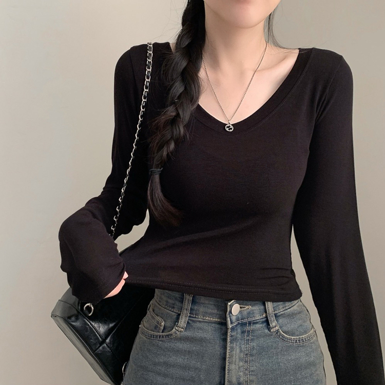 シアーVネックTシャツ(5color) BLACK