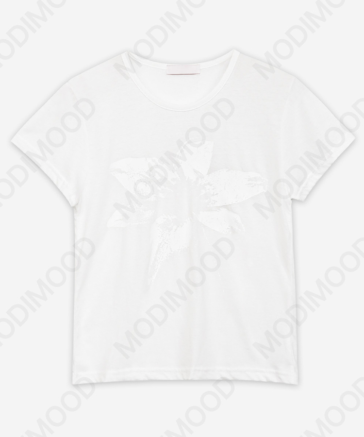 シンプルセミクロップド半袖Tシャツ