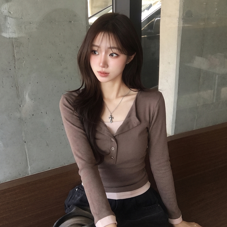 レイヤードセミクロップドTシャツ(6color) BROWN